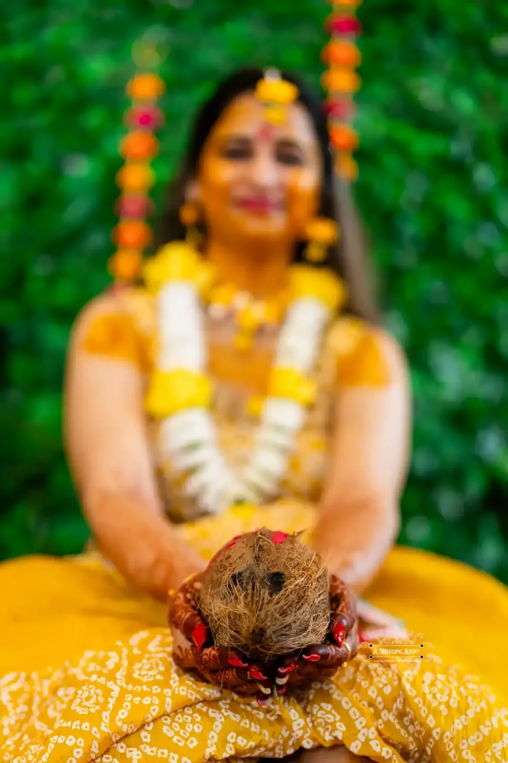 Bride holding a coconut in her hands as a traditional offering during Haldi ceremony, captured by Wedding Photography in Wellington, New Zealand