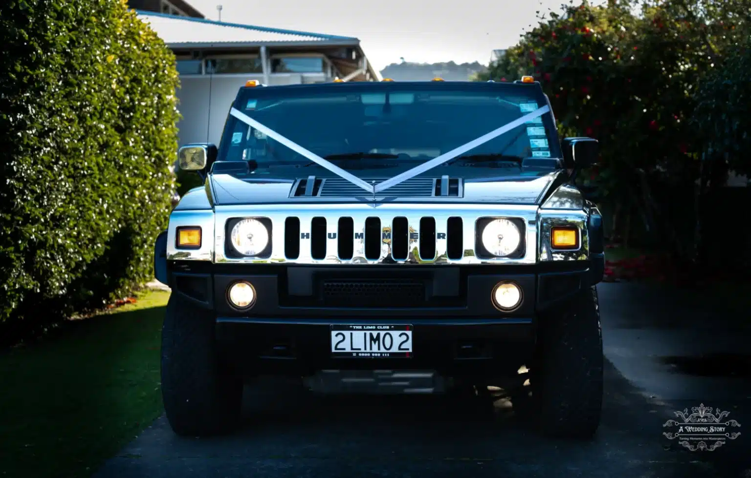 A sleek black Hummer adorned with elegant white ribbon decorations for a wedding, parked on a lush green driveway with vibrant foliage in the background.