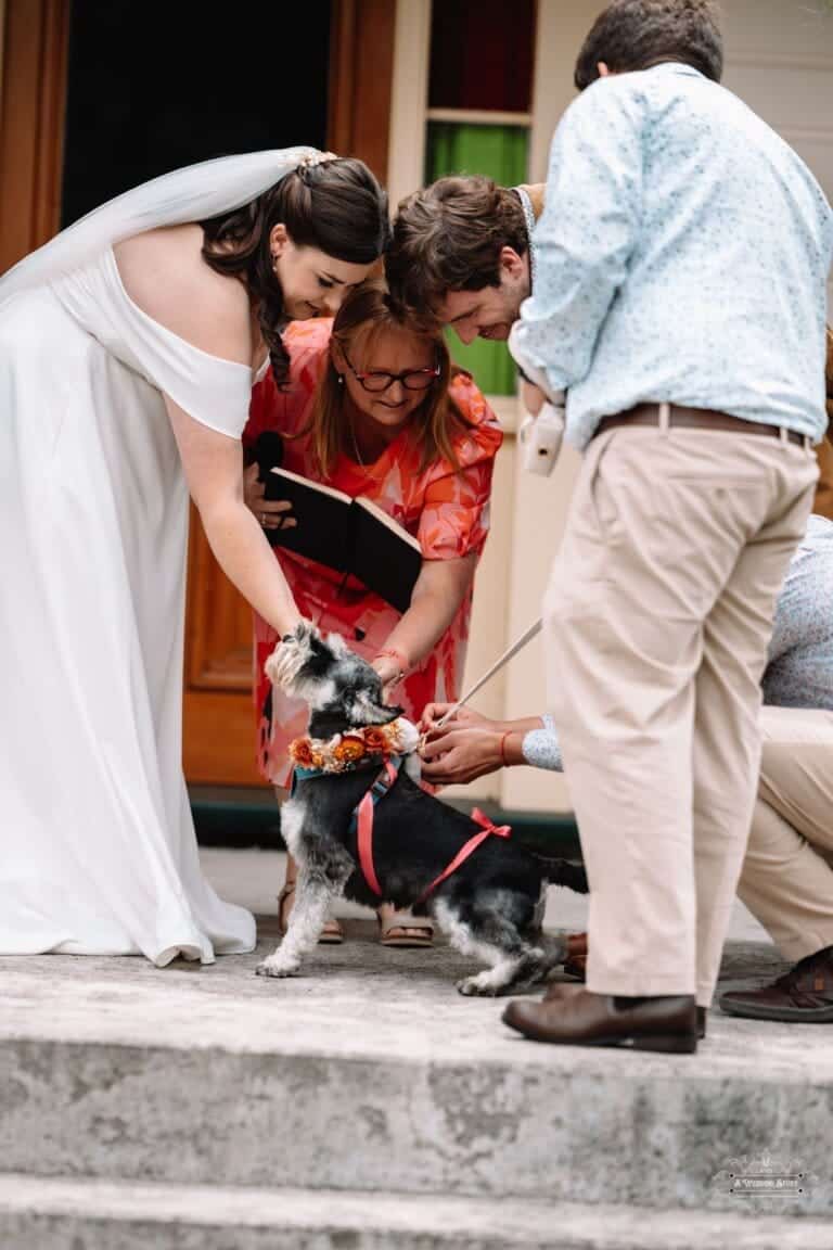 Bride and groom share a joyful moment with their dog, dressed for the wedding ceremony