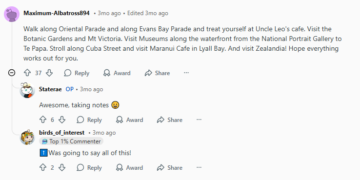 Take a Romantic Stroll Along Oriental Bay & Waterfront Reddit